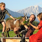 Kinderhotel - Streichelzoo mit Ziegen und Ponys - Der Stern - Das nachhaltige Familienhotel seit 1509