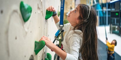 Familienhotel - Teenager-Programm - Schweiz - Kletterwand für jung und alt im Superdome  - Swiss Holiday Park