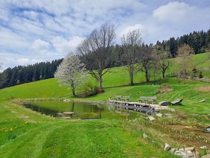 Familienhotel - Steiermark - Für Naturgenießer und Wasserratten - unser idyllischer Naturteich. - Familienhotel Berger ***superior