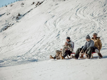 Familienhotel - Hunde: hundefreundlich - Dienten am Hochkönig - Familien- & Gartenhotel Theresia****S  