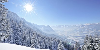 Familienhotel - Skikurs direkt beim Hotel - Ein ganzes Land auf einen Blick: Liechtenstein - Gorfion Familotel Liechtenstein