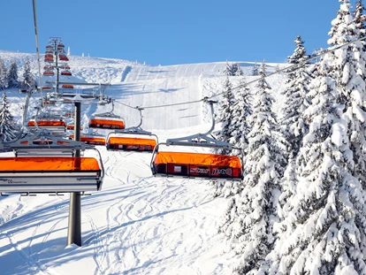 Familienhotel - Preisniveau: günstig - Unterkremsbrücke - mitten in Ski Amade - Sonnberg Ferienanlage