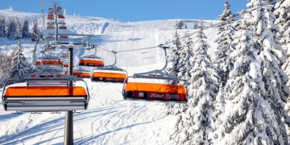 Familienhotel - Ausritte mit Pferden - PLZ 9862 (Österreich) - mitten in Ski Amade - Sonnberg Ferienanlage