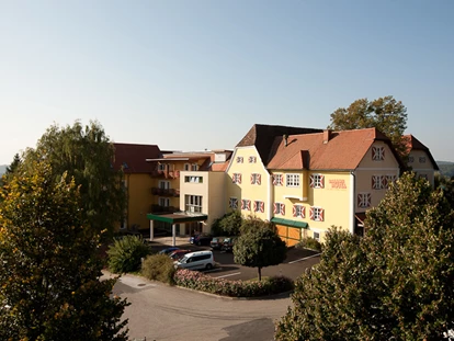 Familienhotel - Umgebungsschwerpunkt: See - Sulz im Burgenland - Ballonhotel