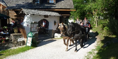 Familienhotel - Ausritte mit Pferden - Unterkremsbrücke - Pferdekutschen Erlebnisfahrten mit der ganze Familie - Hotel GUT Trattlerhof & Chalets****