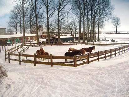 Familienhotel - Umgebungsschwerpunkt: Meer - Fehmarn - Auch im Winter ein Vergnügen für die Pferde - Bauer Martin | Ostsee Ferienhof Bendfeldt