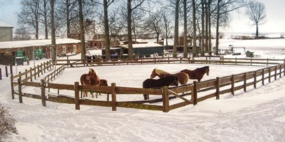 Familienhotel - Spielplatz - Grömitz - Auch im Winter ein Vergnügen für die Pferde - Bauer Martin | Ostsee Ferienhof Bendfeldt