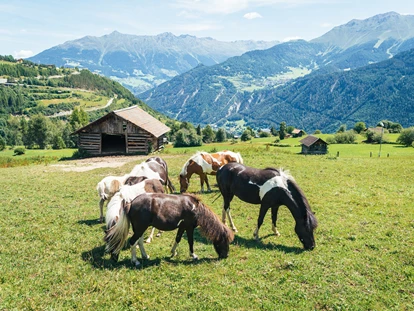 Familienhotel - Umgebungsschwerpunkt: am Land - Hochkrumbach - unsere Pony's auf der Koppel - Furgli Hotels