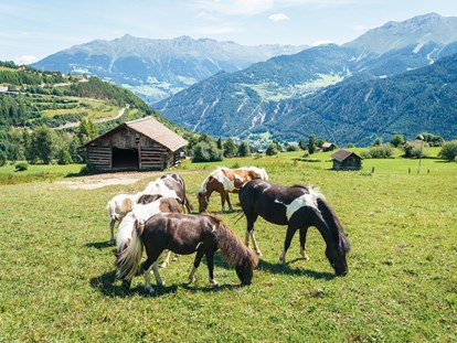 Familienhotel - Umgebungsschwerpunkt: Berg - unsere Pony's auf der Koppel - Furgli Hotels
