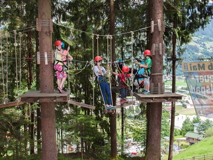 Familienhotel - Kinderbecken - Medraz - Hochseilgarten 100m oberhalb des Hotels mit kostenfreien Kursen - Alpin Family Resort Seetal