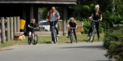 Familienhotel - Kinderbetreuung - Ribnitz-Damgarten - Fahrradverleih - Bernsteinland Hirschburg