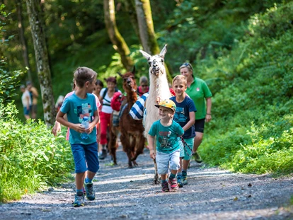 Familienhotel - Hunde: auf Anfrage - Eulersberg - Cool Kids Fun - Familien- und Sportresort Alpenblick