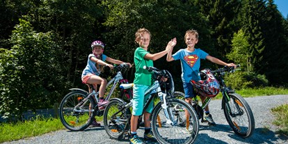 Familienhotel - Teenager-Programm - Fieberbrunn - Bike - Familien- und Sportresort Alpenblick