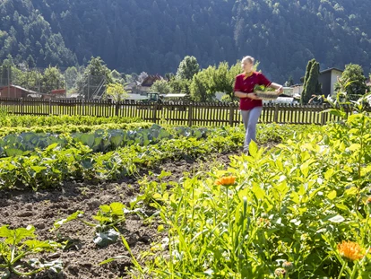 Familienhotel - Umgebungsschwerpunkt: Berg - Aich (Feldkirchen in Kärnten) - Obst und Gemüse aus dem eigenen Garten - Familiengut Hotel Burgstaller