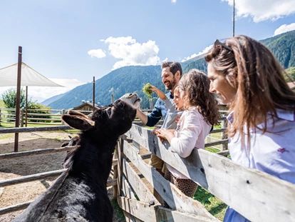 Familienhotel - Umgebungsschwerpunkt: Berg - Trentino-Südtirol - Hotel Fameli