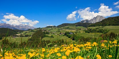 Familienhotel - Klassifizierung: 4 Sterne - Südtirol - Frühling in Hafling - Wohlfühlhotel Falzeben