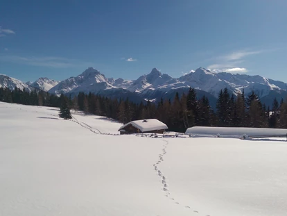 Familienhotel - Skikurs direkt beim Hotel - Flims Waldhaus - Schneeschuhwanderung Wiesner Alp - Aparthotel Muchetta - Davos Wiesen - Graubünden - Schweiz - Aparthotel Muchetta