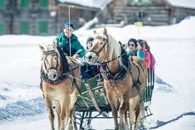 Die Seitenalm Ausflugsziele Pferdeschlittenfahrt