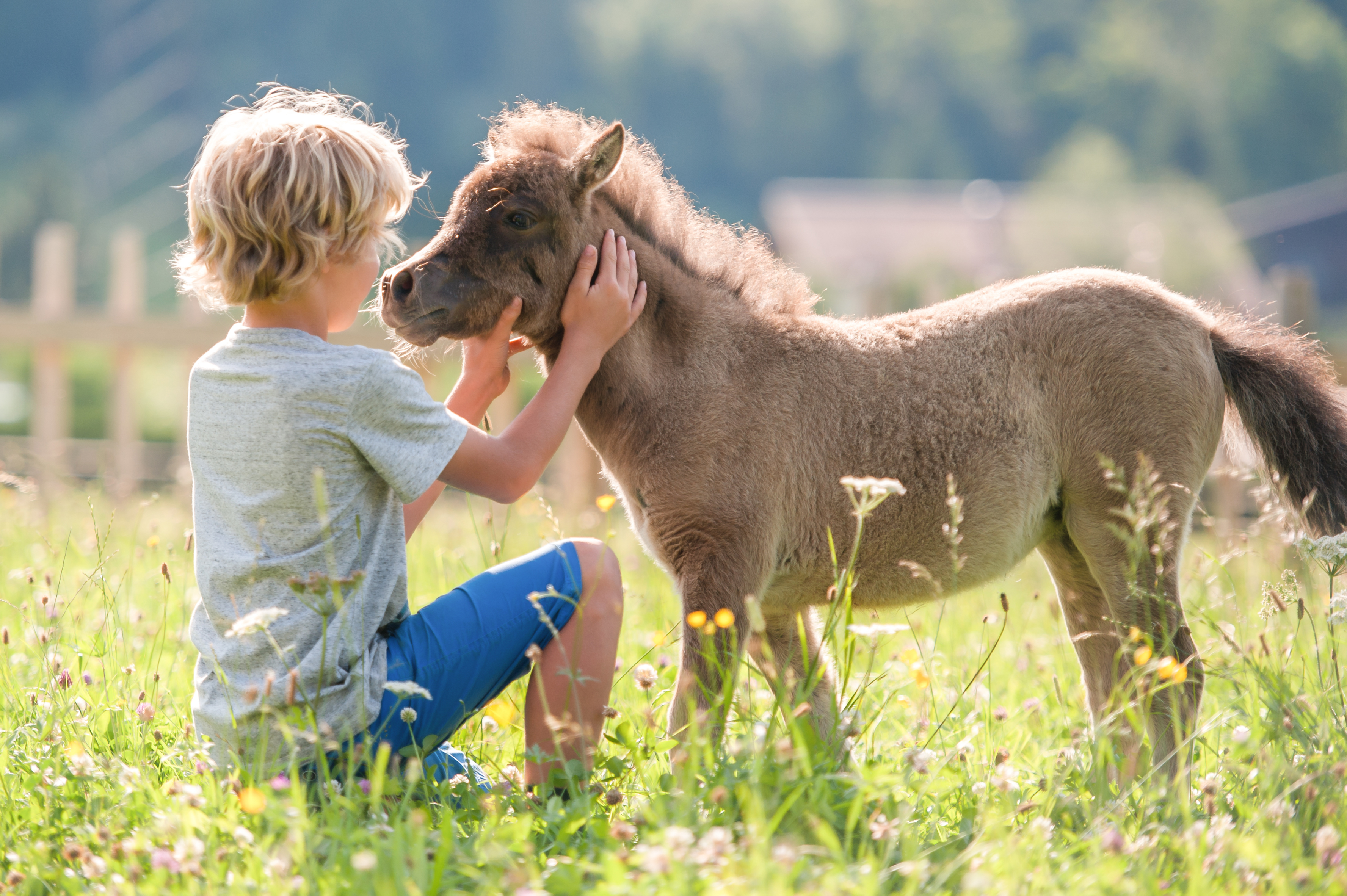 Kinderhotel: Pferde im Central - Central - Holiday Resort Flachau