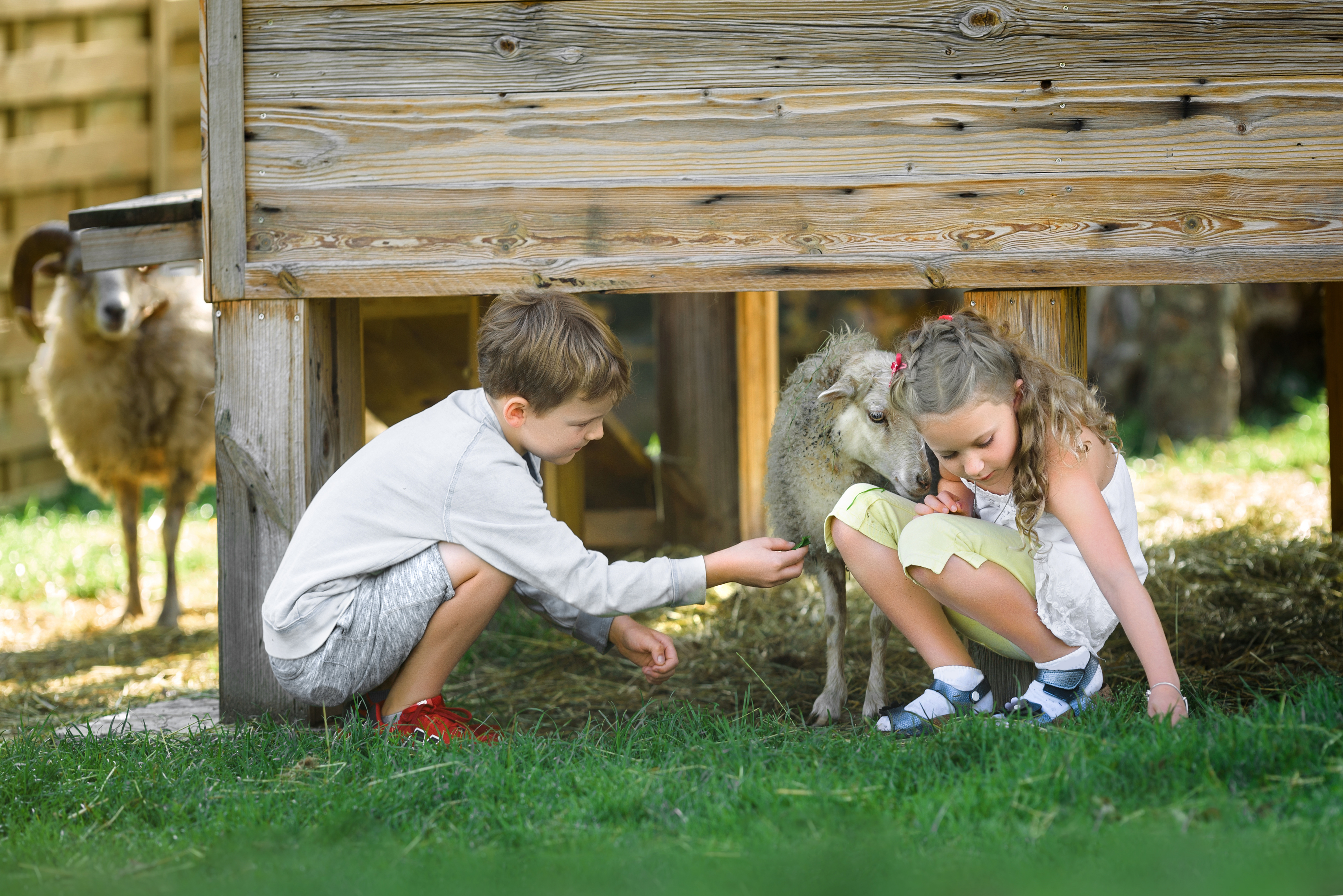 Kinderhotel: Streichelzoo Centis Farm - Central - Holiday Resort Flachau