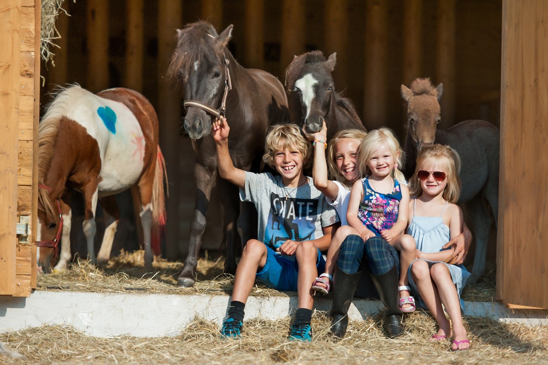 Kinderhotel: Pferde im Central - Ferienanlage Central GmbH