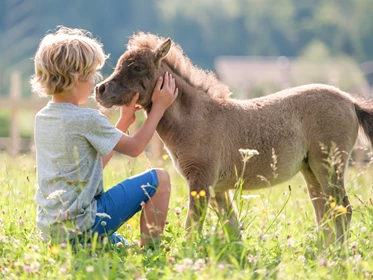 Kinderhotel: Pferde im Central - Ferienanlage Central GmbH