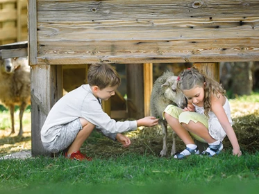 Kinderhotel: Streichelzoo Centis Farm - Ferienanlage Central GmbH