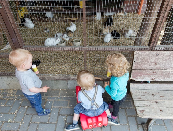 Kinderhotel: Unser Hasen und Meerschweinchengehege - Familotel Landhuus Laurenz