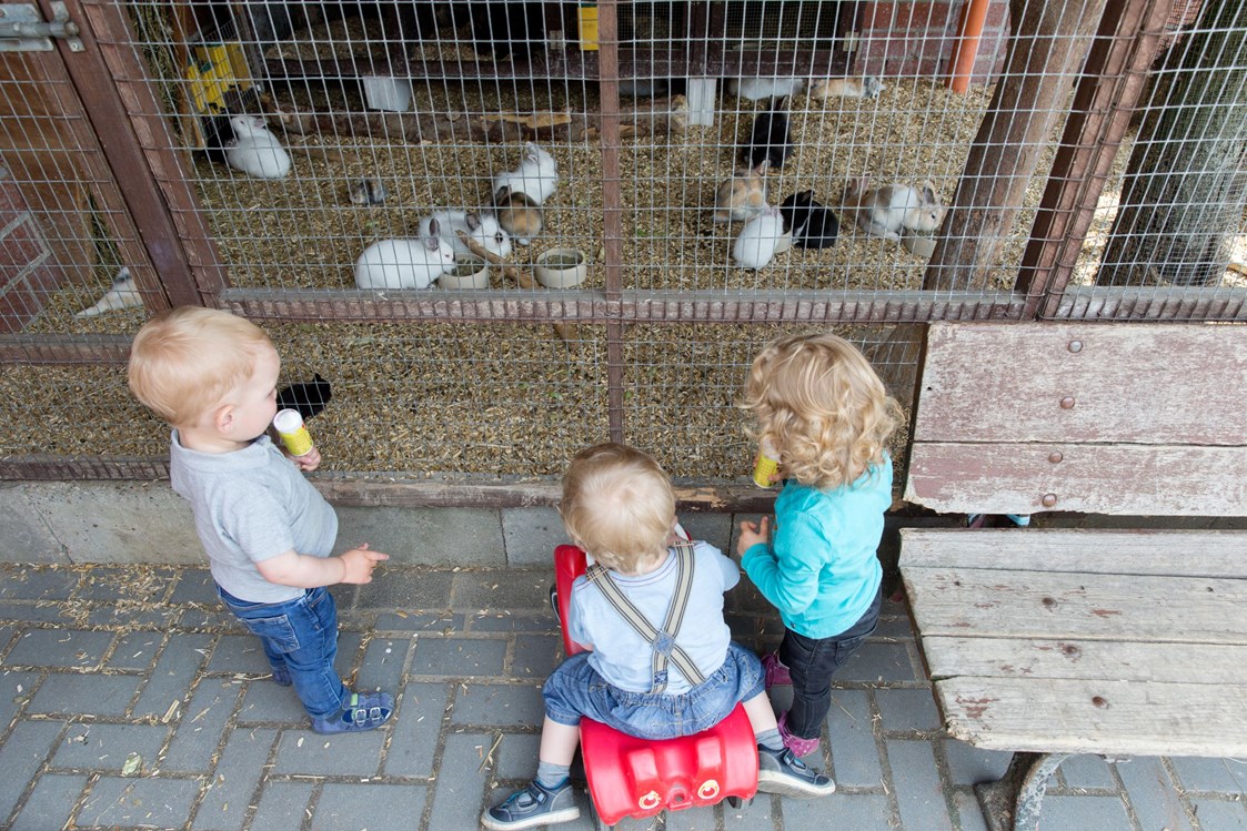Kinderhotel: Unser Hasen und Meerschweinchengehege - Familotel Laurenz Ferienhof Laurenz