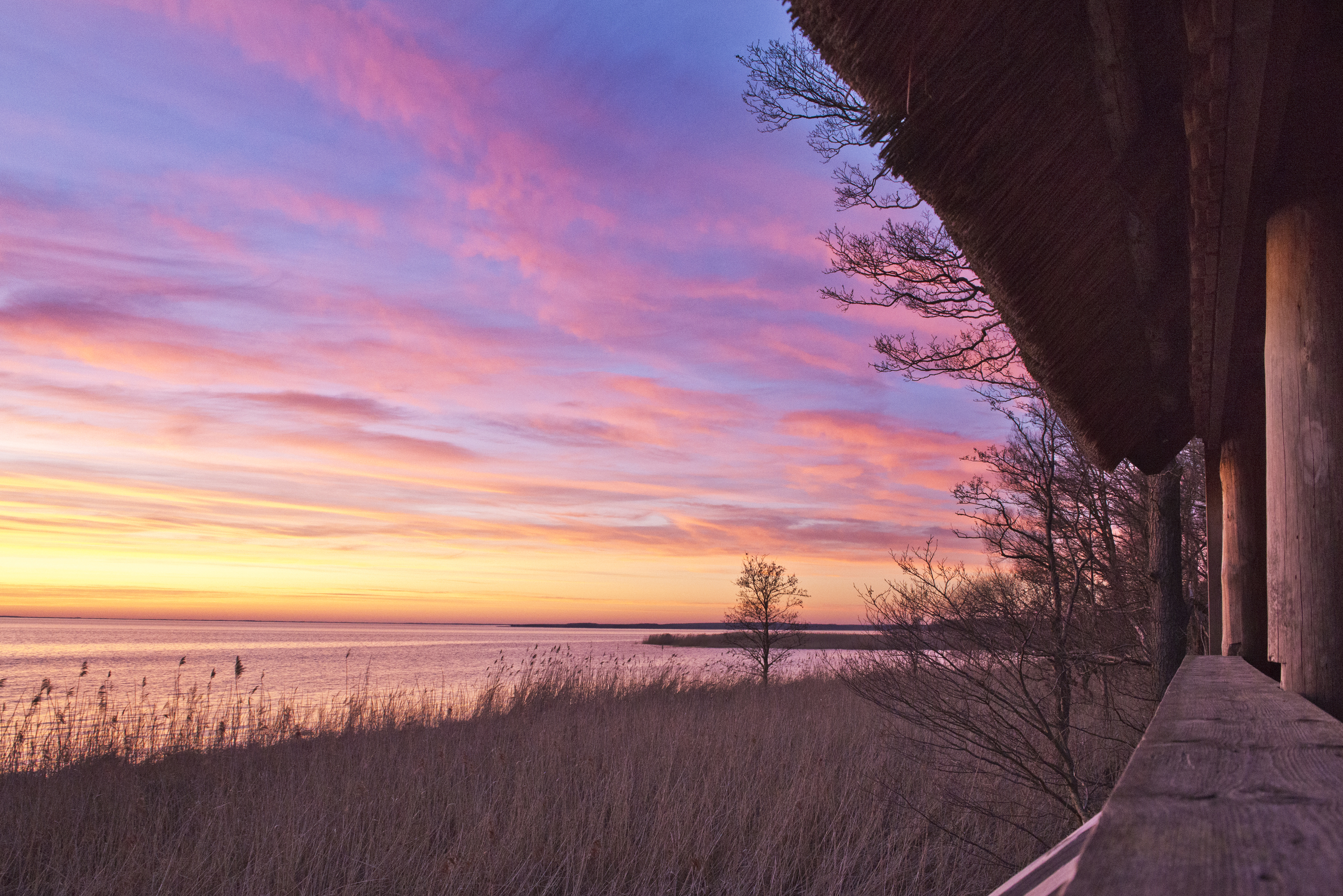 All Season Parks - Urlaub & Wassersport in der  Mecklenburgischen Kleinseenplatte und an der Müritz Ausflugsziele Müritz-Nationalpark