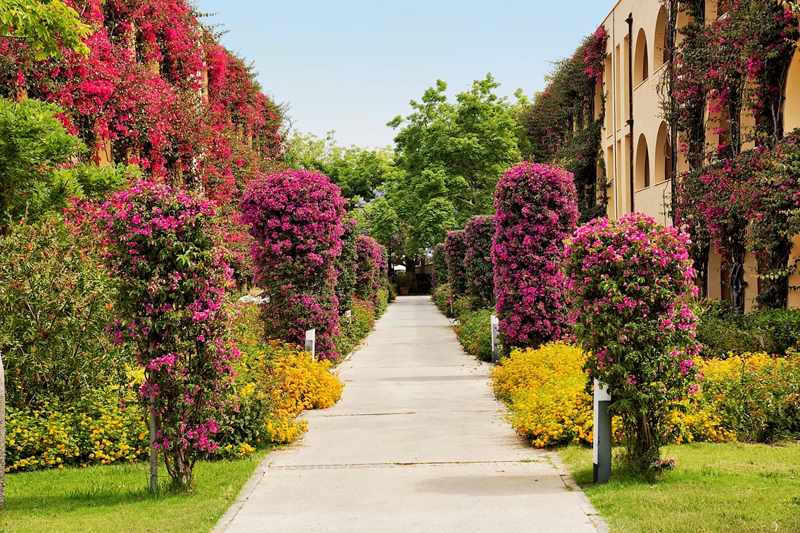 Kinderhotel: Garten - TUI MAGIC LIFE Calabria