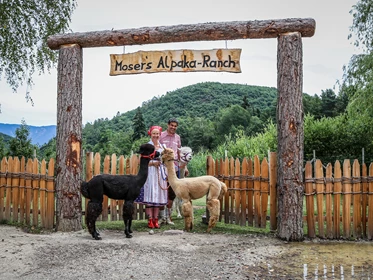 Kinderhotel: Mosers Alpaka Ranch!  - Gartenhotel Moser ****s