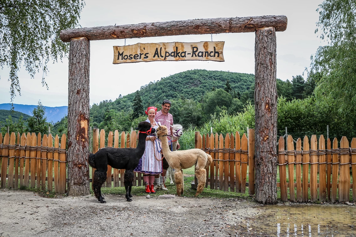 Kinderhotel: Mosers Alpaka Ranch!  - Gartenhotel Moser ****s