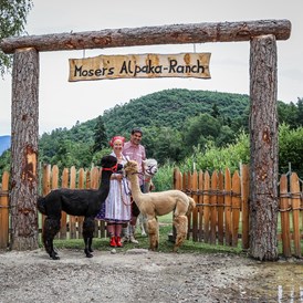 Kinderhotel: Mosers Alpaka Ranch!  - Gartenhotel Moser ****s