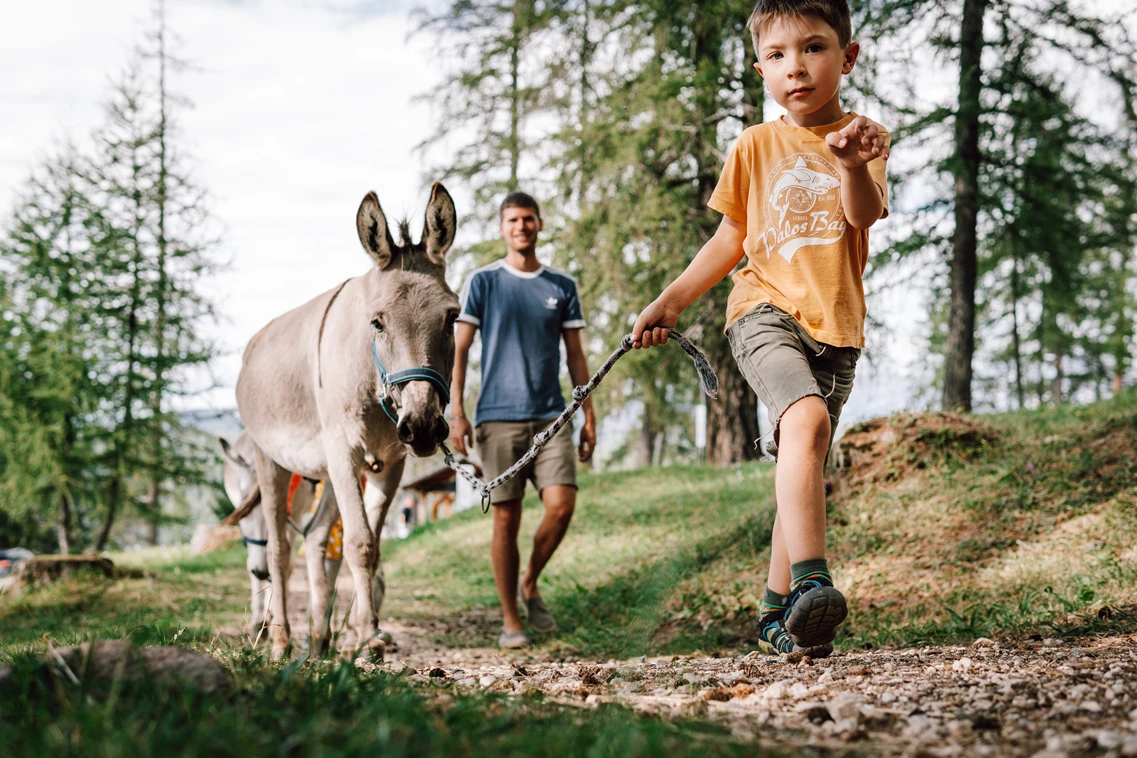 Kinderhotel: Hotel und Reiterhof Obereggen