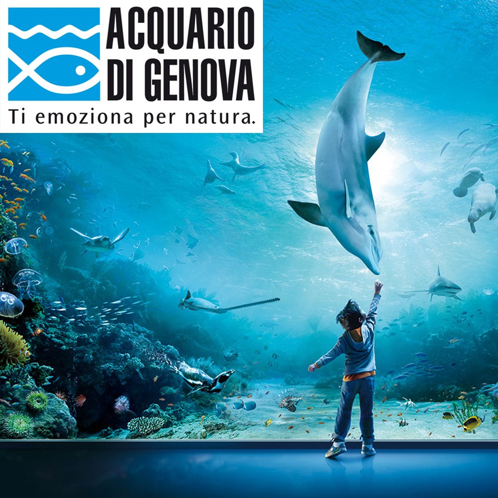 Hotel Raffy Ausflugsziele Das größte Aquarium in Europa