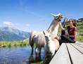 Kinderhotel: Alpakas uns Lamas im Bergzoo - Taser Alm