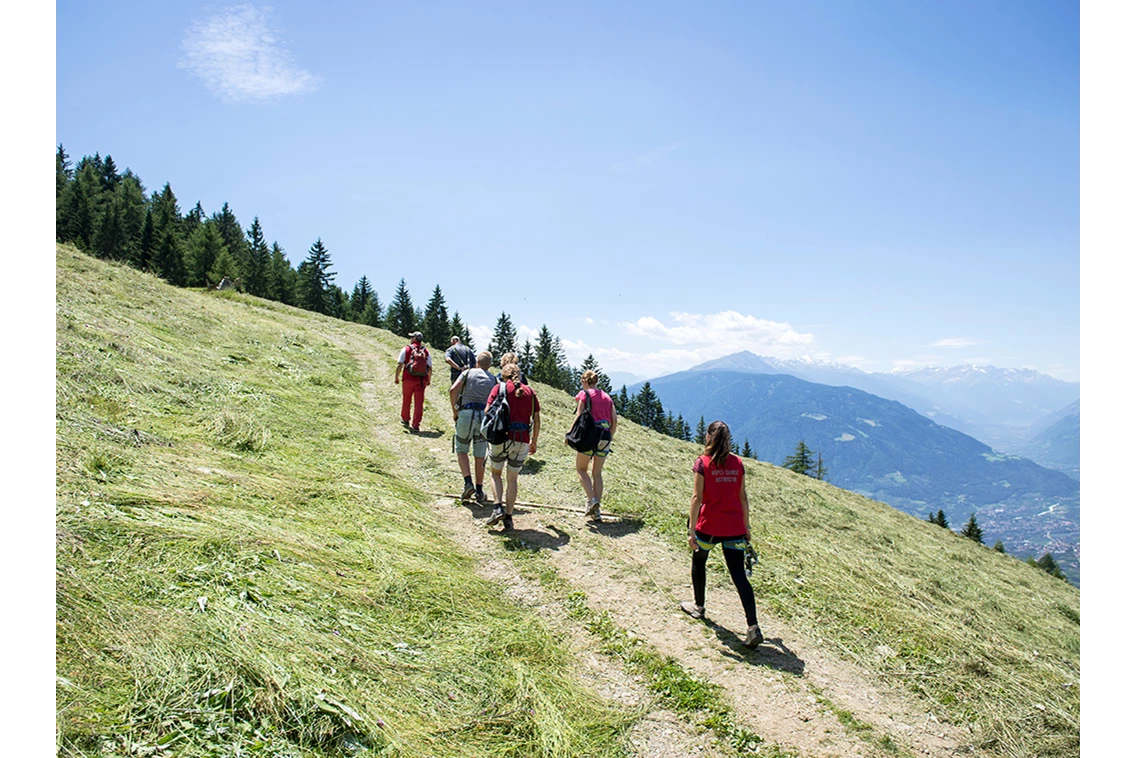 Kinderhotel: Wandern auf die Alm - Taser Alm