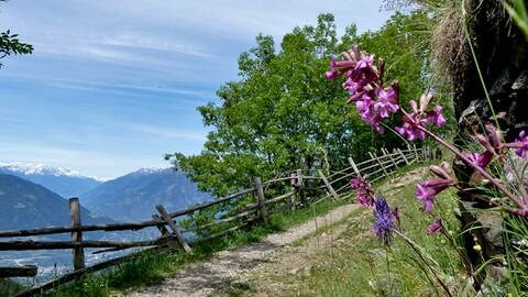 Taser Alm Ausflugsziele TASER HÖHENWEG