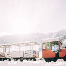 Kinderhotel: Gratis Bummelzug "Bruno" bringt unsere Gäste zum Skigebiet - Das Original Kinderhotel Stegerhof
