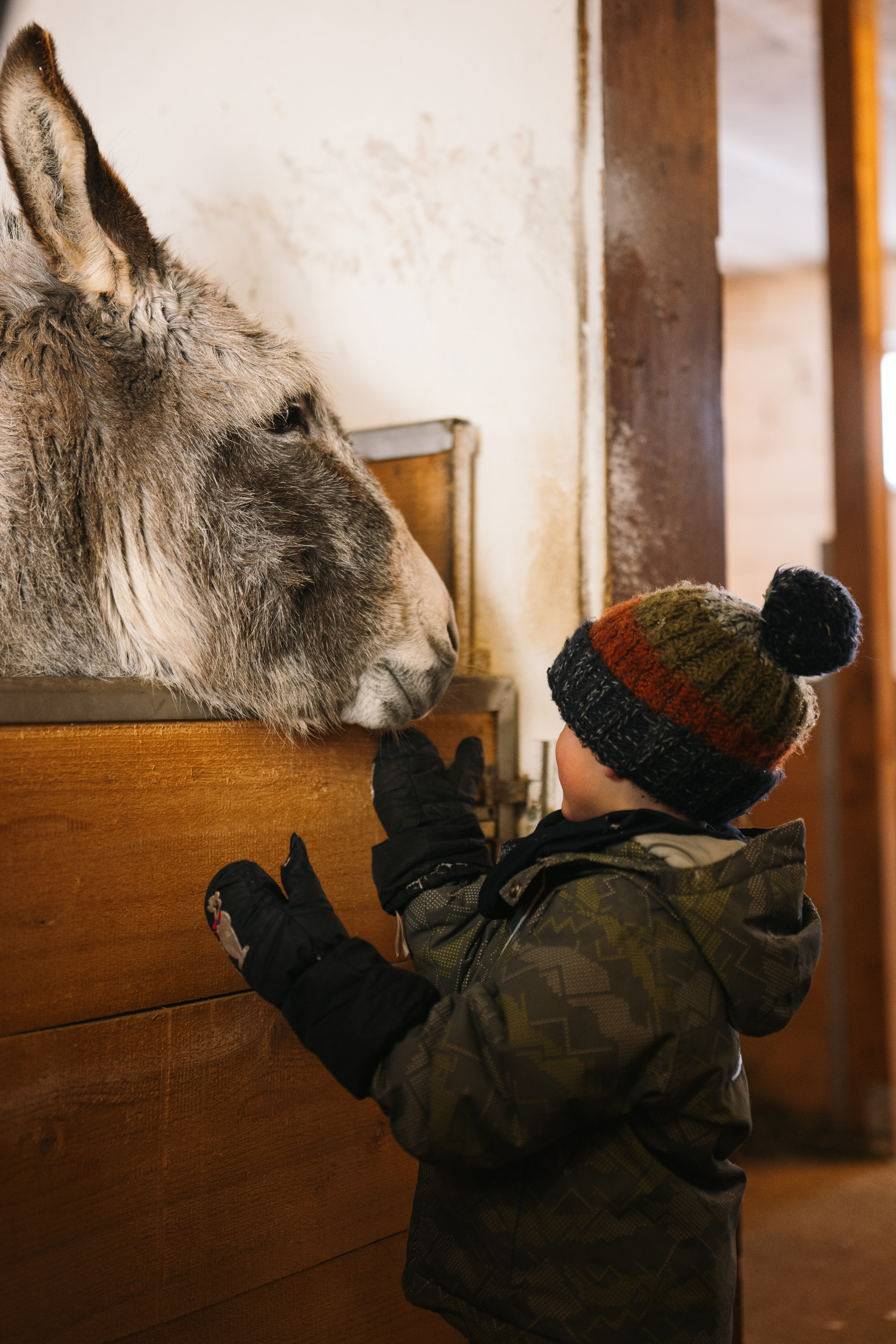 Kinderhotel: Das Original Kinderhotel Stegerhof in der Steiermark - Spielen | Entdecken