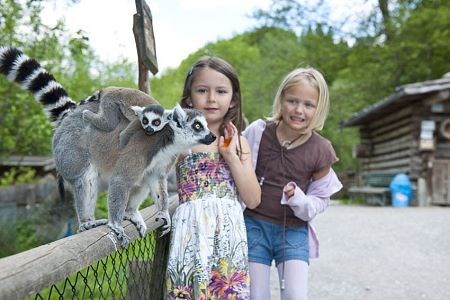 Hotel Seehof Ausflugsziele Raritätenzoo Ebbs
