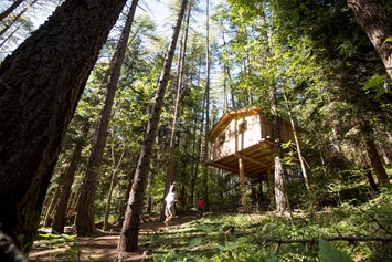 Familienhotel: Abenteuerpark im Wald mit Baumhaus  - Familienhotel Huber