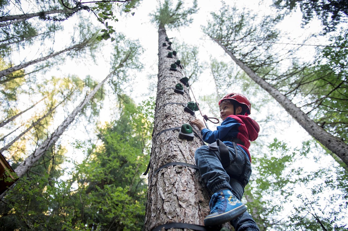 Familienhotel: Baum klettern für Kinder im Abenteuerpark im Wald - Familienhotel Huber