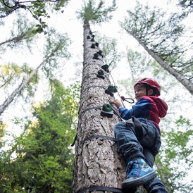 Familienhotel: Baum klettern für Kinder im Abenteuerpark im Wald - Familienhotel Huber