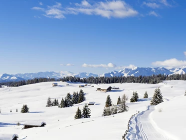 Familienhotel: Klettern an der Kletterwand - Familienhotel Huber