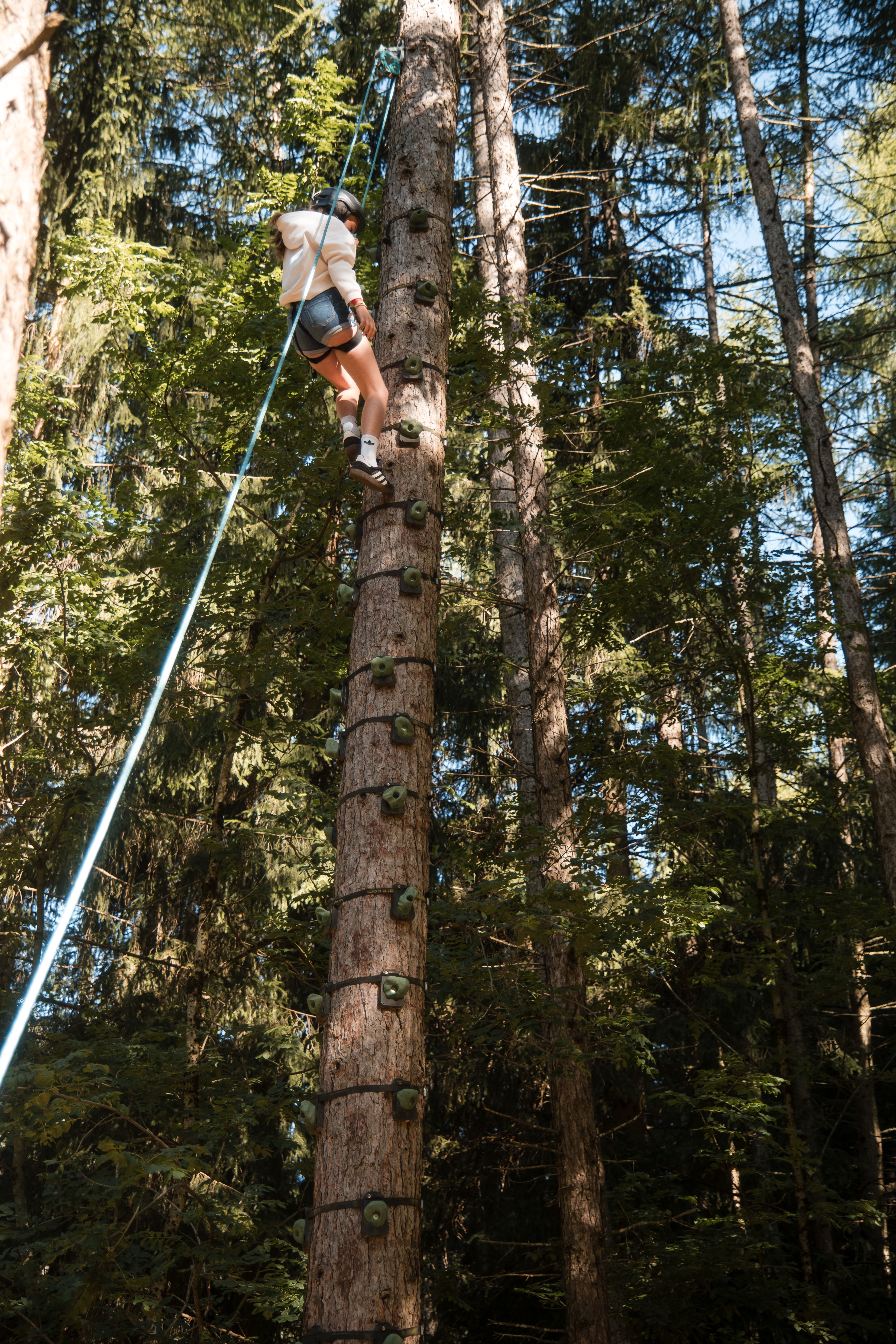 Familienhotel: Abenteuerpark Baum klettern - Familienhotel Huber