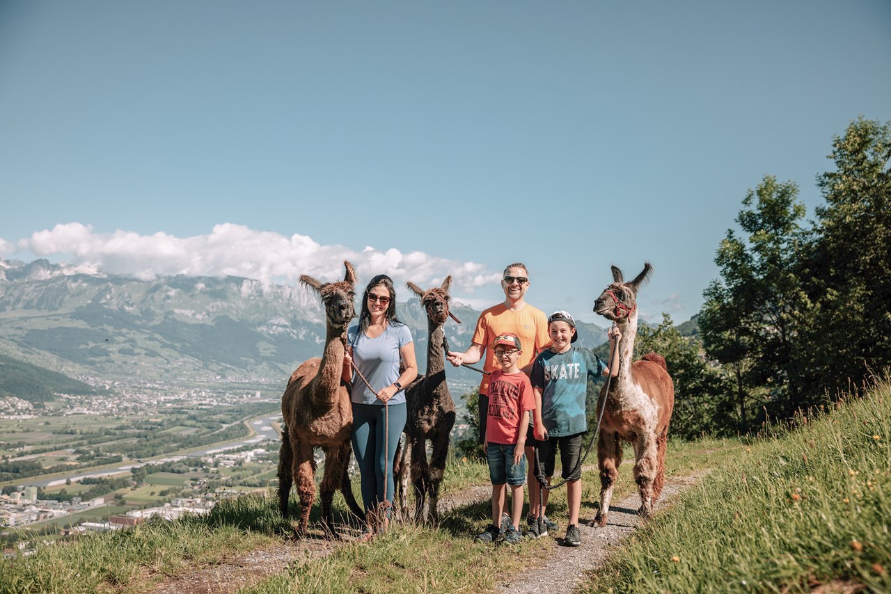 Gorfion Familienhotel Liechtenstein Ausflugsziele Lama- & Alpaka-Trekking
