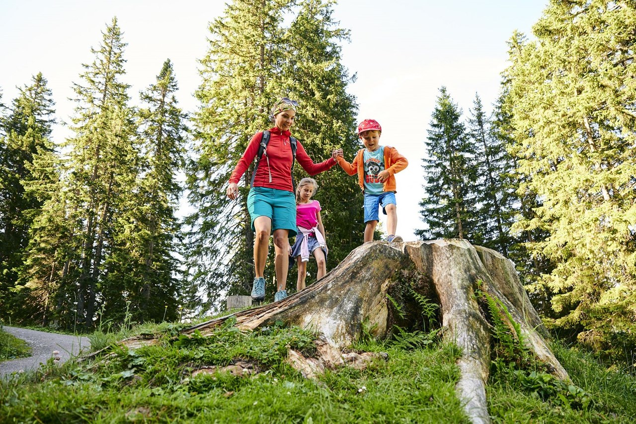 Familienhotel Lagant Ausflugsziele Natursprünge-Weg Brandnertal