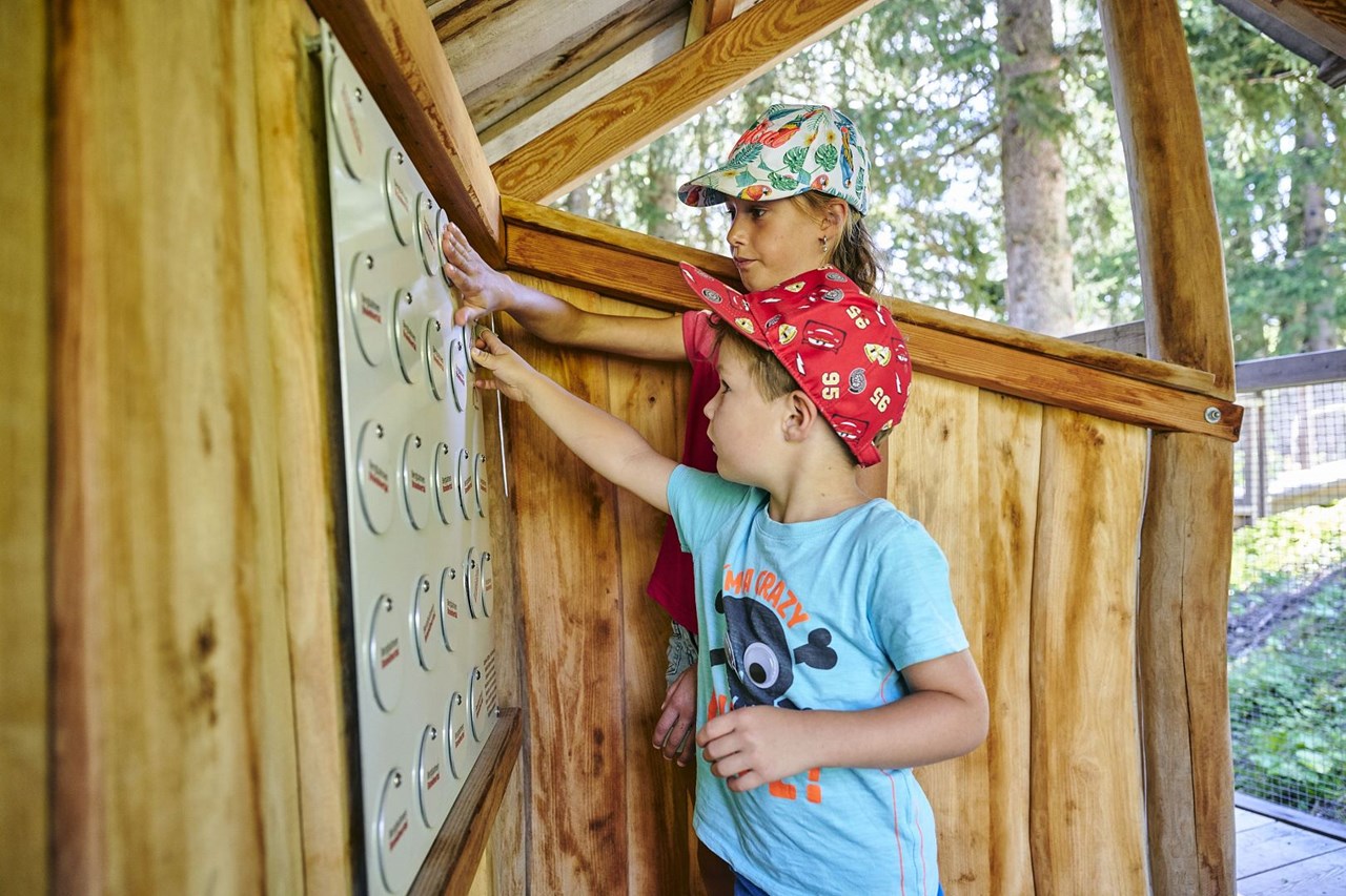 Familienhotel Lagant Ausflugsziele Tierwelten Brandnertal